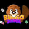 Bingo Bonga Casino Bonus Code April 2024 ✴️ Bestes Angebot hier!