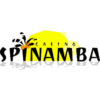 Spinamba Casino Bonus Code April 2024 ✴️ Bestes Angebot hier!