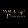 WildPharao Bonus Code April 2024 ✴️ Bestes Angebot hier!